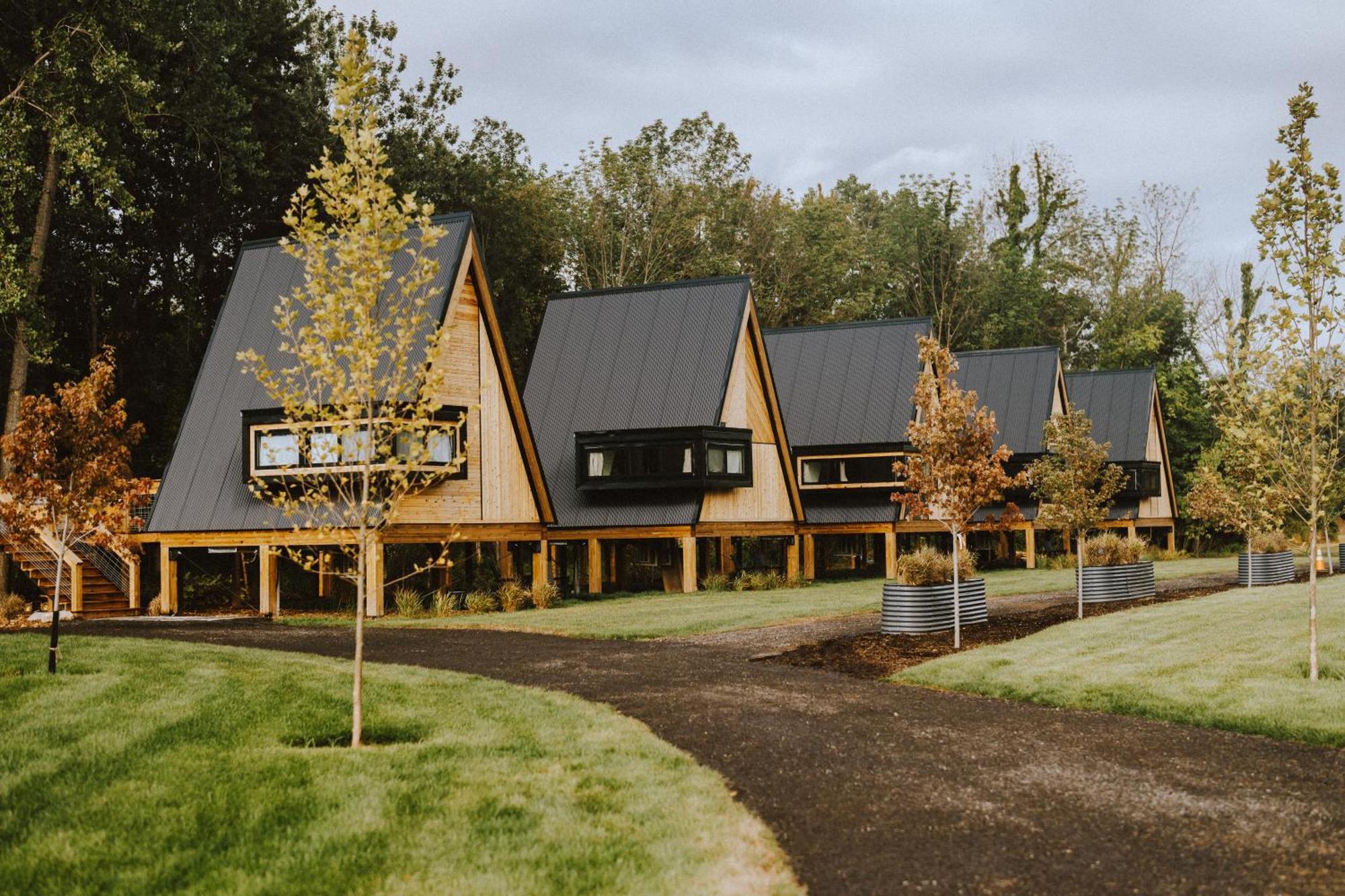 Finger Lakes Treehouse Sodus Buitenkant foto